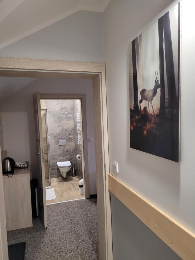 Karolowy Pokoje&Apartamenty Ustroň Exteriér fotografie